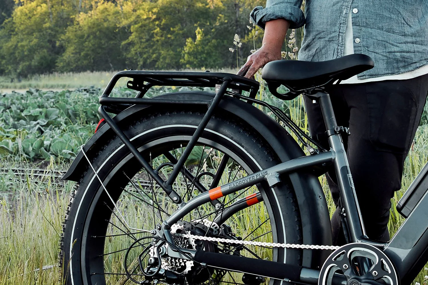 RadRover Rear Rack - Image 3